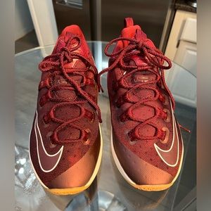 Nike Lebron 13 Low size 12